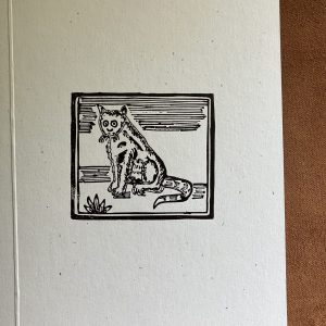 Confused cat