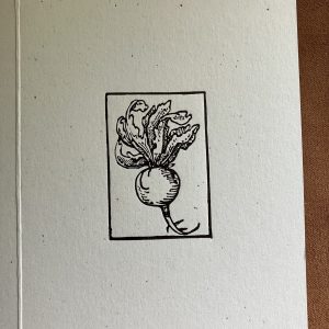 Turnip