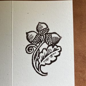Acorn